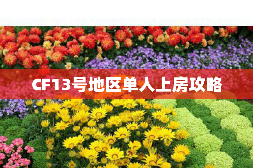 CF13号地区单人上房攻略