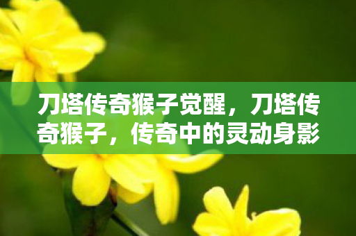 刀塔传奇猴子觉醒,刀塔传奇猴子,传奇中的灵动身影 刀塔传奇猴子觉醒,刀塔传奇猴子,传奇中的灵动身影