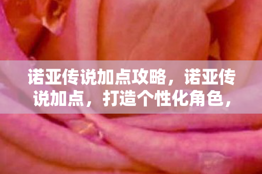 诺亚传说加点攻略,诺亚传说加点,打造个性化角色,提升战斗效率 诺亚传说加点攻略,诺亚传说加点,打造个性化角色,提升战斗效率