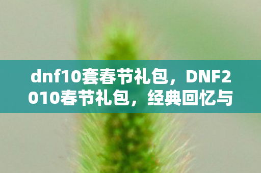 dnf10套春节礼包,DNF2010春节礼包,经典回忆与珍贵收藏 dnf10套春节礼包,DNF2010春节礼包,经典回忆与珍贵收藏