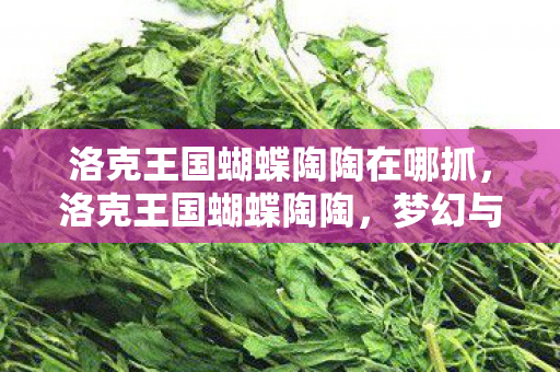 洛克王国蝴蝶陶陶在哪抓,洛克王国蝴蝶陶陶,梦幻与冒险的交织 洛克王国蝴蝶陶陶在哪抓,洛克王国蝴蝶陶陶,梦幻与冒险的交织