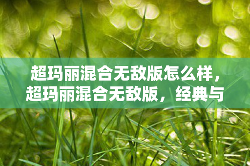 超玛丽混合无敌版怎么样,超玛丽混合无敌版,经典与创新的完美融合 超玛丽混合无敌版怎么样,超玛丽混合无敌版,经典与创新的完美融合
