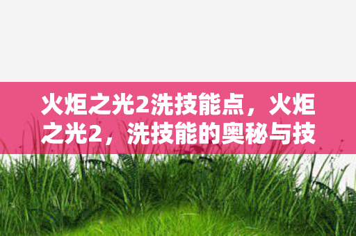 火炬之光2洗技能点,火炬之光2,洗技能的奥秘与技巧 火炬之光2洗技能点,火炬之光2,洗技能的奥秘与技巧