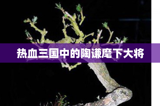 热血三国中的陶谦麾下大将 热血三国中的陶谦麾下大将