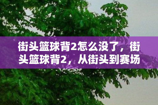 街头篮球背2怎么没了，街头篮球背2，从街头到赛场的华丽蜕变