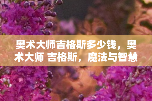奥术大师吉格斯多少钱,奥术大师 吉格斯,魔法与智慧的交响曲 奥术大师吉格斯多少钱,奥术大师 吉格斯,魔法与智慧的交响曲