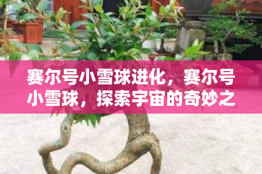 赛尔号小雪球进化,赛尔号小雪球,探索宇宙的奇妙之旅 赛尔号小雪球进化,赛尔号小雪球,探索宇宙的奇妙之旅