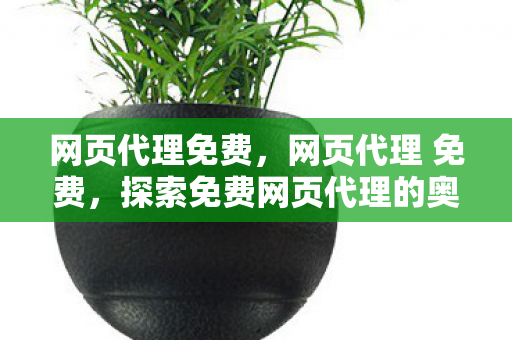 网页代理免费,网页代理 免费,探索免费网页代理的奥秘与优势 网页代理免费,网页代理 免费,探索免费网页代理的奥秘与优势