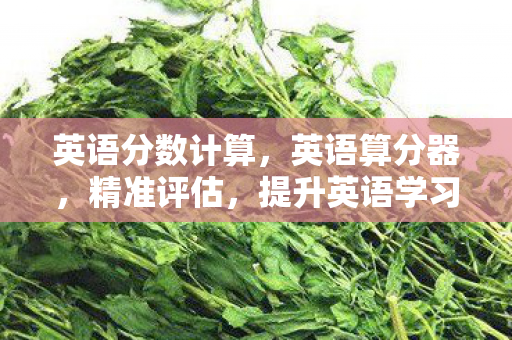 英语分数计算,英语算分器,精准评估,提升英语学习效率 英语分数计算,英语算分器,精准评估,提升英语学习效率