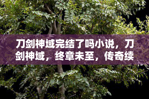 刀剑神域完结了吗小说,刀剑神域,终章未至,传奇续航 刀剑神域完结了吗小说,刀剑神域,终章未至,传奇续航