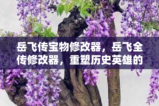 岳飞传宝物修改器，岳飞全传修改器，重塑历史英雄的传奇