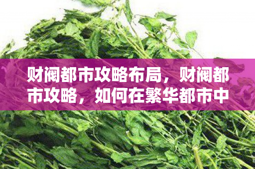 财阀都市攻略布局,财阀都市攻略,如何在繁华都市中立足与发展 财阀都市攻略布局,财阀都市攻略,如何在繁华都市中立足与发展