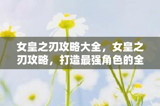 女皇之刃攻略大全,女皇之刃攻略,打造最强角色的全面指南 女皇之刃攻略大全,女皇之刃攻略,打造最强角色的全面指南