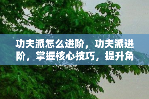 功夫派怎么进阶,功夫派进阶,掌握核心技巧,提升角色实力 功夫派怎么进阶,功夫派进阶,掌握核心技巧,提升角色实力