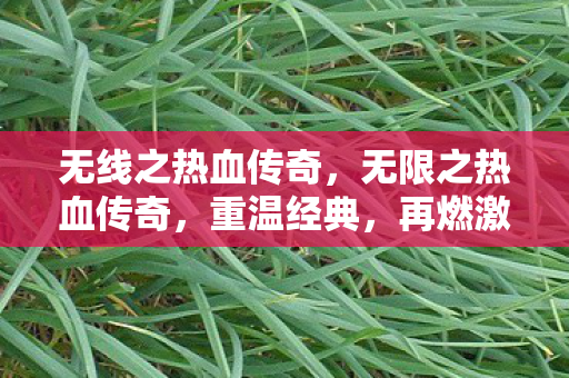 无线之热血传奇,无限之热血传奇,重温经典,再燃激情 无线之热血传奇,无限之热血传奇,重温经典,再燃激情