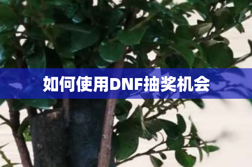 如何使用DNF抽奖机会 如何使用DNF抽奖机会