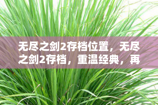 无尽之剑2存档位置,无尽之剑2存档,重温经典,再战江湖 无尽之剑2存档位置,无尽之剑2存档,重温经典,再战江湖