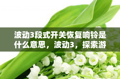 波动3段式开关恢复响铃是什么意思,波动3,探索游戏世界的无限可能 波动3段式开关恢复响铃是什么意思,波动3,探索游戏世界的无限可能