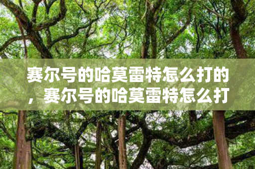 赛尔号的哈莫雷特怎么打的,赛尔号的哈莫雷特怎么打 赛尔号的哈莫雷特怎么打的,赛尔号的哈莫雷特怎么打