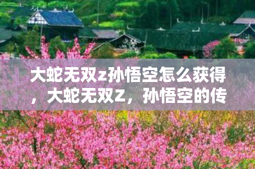 大蛇无双z孙悟空怎么获得,大蛇无双Z,孙悟空的传奇之旅 大蛇无双z孙悟空怎么获得,大蛇无双Z,孙悟空的传奇之旅