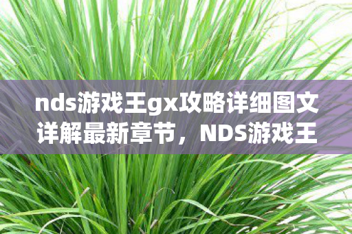 nds游戏王gx攻略详细图文详解最新章节,NDS游戏王GX攻略,掌握卡牌策略,成为决斗王 nds游戏王gx攻略详细图文详解最新章节,NDS游戏王GX攻略,掌握卡牌策略,成为决斗王