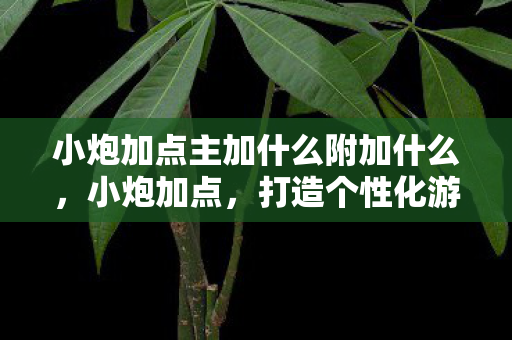 小炮加点主加什么附加什么,小炮加点,打造个性化游戏角色的艺术 小炮加点主加什么附加什么,小炮加点,打造个性化游戏角色的艺术