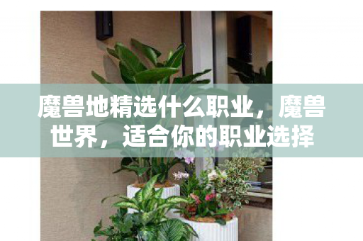 魔兽地精选什么职业,魔兽世界,适合你的职业选择 魔兽地精选什么职业,魔兽世界,适合你的职业选择