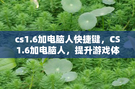 cs1.6加电脑人快捷键，CS1.6加电脑人，提升游戏体验的绝佳选择