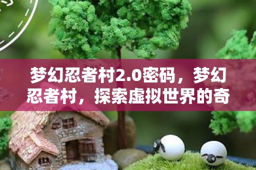 梦幻忍者村2.0密码，梦幻忍者村，探索虚拟世界的奇妙之旅