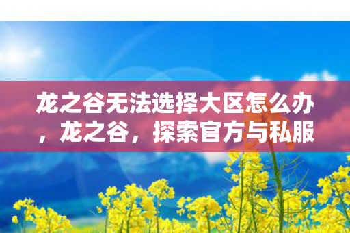 龙之谷无法选择大区怎么办，龙之谷，探索官方与私服的界限，体验与选择的平衡