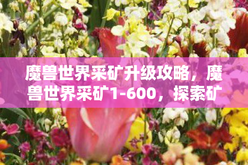 魔兽世界采矿升级攻略,魔兽世界采矿1-600,探索矿石世界的奇妙之旅 魔兽世界采矿升级攻略,魔兽世界采矿1-600,探索矿石世界的奇妙之旅