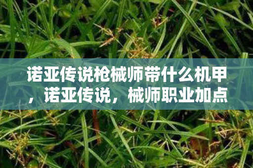 诺亚传说枪械师带什么机甲,诺亚传说,械师职业加点策略详解 诺亚传说枪械师带什么机甲,诺亚传说,械师职业加点策略详解