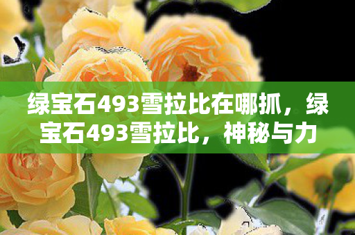 绿宝石493雪拉比在哪抓,绿宝石493雪拉比,神秘与力量的化身 绿宝石493雪拉比在哪抓,绿宝石493雪拉比,神秘与力量的化身
