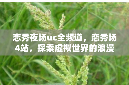 恋秀夜场uc全频道,恋秀场4站,探索虚拟世界的浪漫邂逅 恋秀夜场uc全频道,恋秀场4站,探索虚拟世界的浪漫邂逅