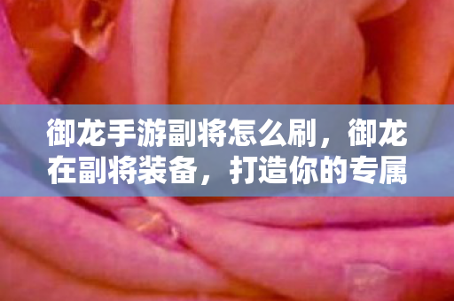 御龙手游副将怎么刷,御龙在副将装备,打造你的专属战斗伙伴 御龙手游副将怎么刷,御龙在副将装备,打造你的专属战斗伙伴