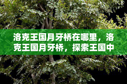 洛克王国月牙桥在哪里,洛克王国月牙桥,探索王国中的神秘之地 洛克王国月牙桥在哪里,洛克王国月牙桥,探索王国中的神秘之地