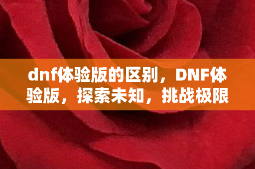 dnf体验版的区别，DNF体验版，探索未知，挑战极限