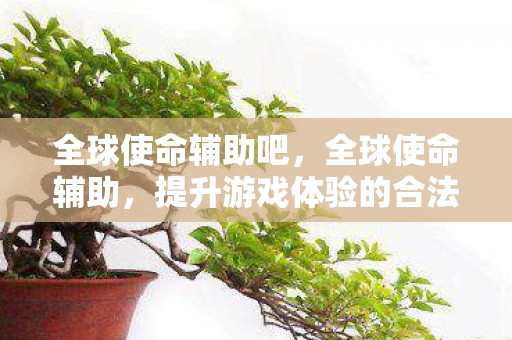 全球使命辅助吧,全球使命辅助,提升游戏体验的合法途径 全球使命辅助吧,全球使命辅助,提升游戏体验的合法途径