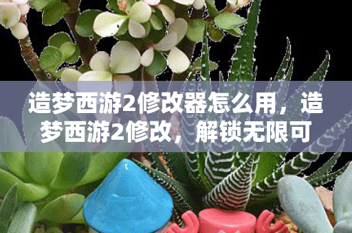 造梦西游2修改器怎么用,造梦西游2修改,解锁无限可能的冒险之旅 造梦西游2修改器怎么用,造梦西游2修改,解锁无限可能的冒险之旅