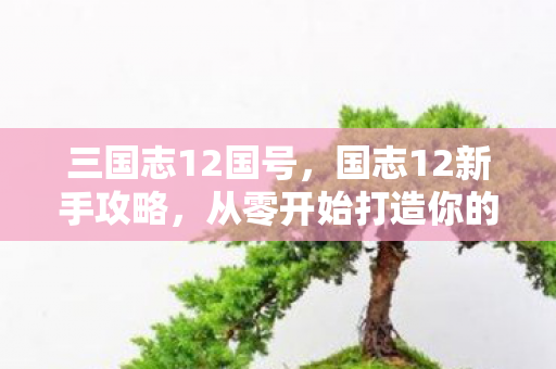 三国志12国号,国志12新手攻略,从零开始打造你的辉煌帝国 三国志12国号,国志12新手攻略,从零开始打造你的辉煌帝国
