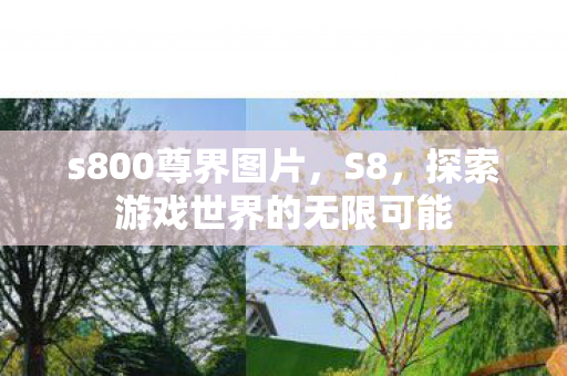 s800尊界图片,S8,探索游戏世界的无限可能 s800尊界图片,S8,探索游戏世界的无限可能