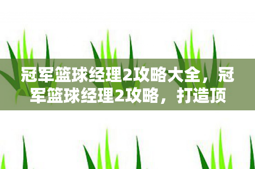 冠军篮球经理2攻略大全,冠军篮球经理2攻略,打造顶级球队的策略与技巧 冠军篮球经理2攻略大全,冠军篮球经理2攻略,打造顶级球队的策略与技巧
