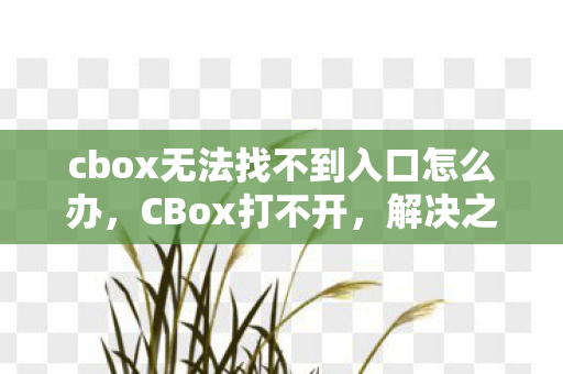 cbox无法找不到入口怎么办,CBox打不开,解决之道与用户体验探讨 cbox无法找不到入口怎么办,CBox打不开,解决之道与用户体验探讨