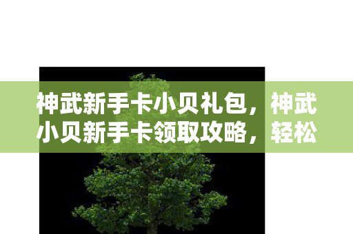 神武新手卡小贝礼包,神武小贝新手卡领取攻略,轻松获取丰厚奖励 神武新手卡小贝礼包,神武小贝新手卡领取攻略,轻松获取丰厚奖励