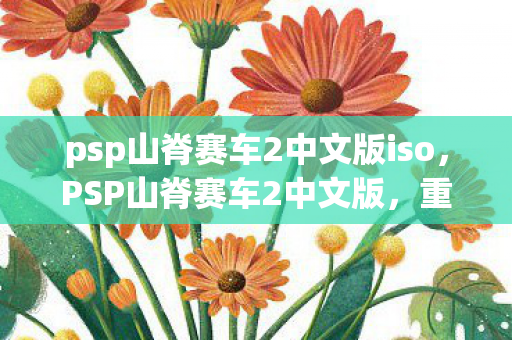 psp山脊赛车2中文版iso，PSP山脊赛车2中文版，重温经典，速度与激情的再现