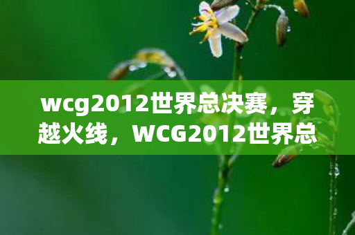 wcg2012世界总决赛,穿越火线,WCG2012世界总决赛的荣耀与激情 wcg2012世界总决赛,穿越火线,WCG2012世界总决赛的荣耀与激情