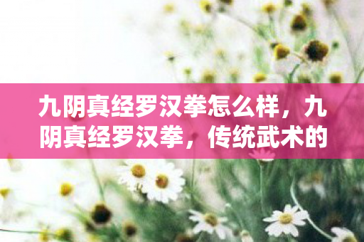 九阴真经罗汉拳怎么样,九阴真经罗汉拳,传统武术的瑰宝与现代文化的交融 九阴真经罗汉拳怎么样,九阴真经罗汉拳,传统武术的瑰宝与现代文化的交融