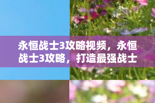 永恒战士3攻略视频,永恒战士3攻略,打造最强战士的实战指南 永恒战士3攻略视频,永恒战士3攻略,打造最强战士的实战指南