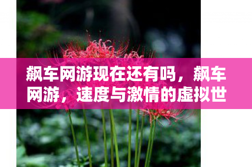 飙车网游现在还有吗,飙车网游,速度与激情的虚拟世界 飙车网游现在还有吗,飙车网游,速度与激情的虚拟世界