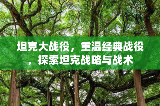 坦克大战役,重温经典战役,探索坦克战略与战术 坦克大战役,重温经典战役,探索坦克战略与战术